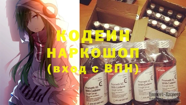 спиды Няндома