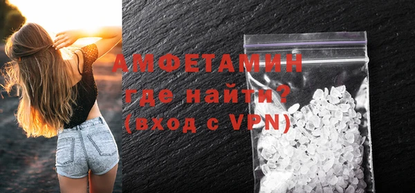 сатива Бородино