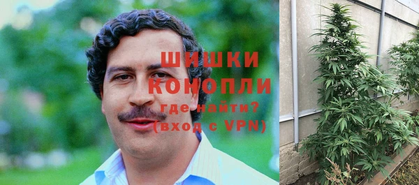 ГАЛЛЮЦИНОГЕННЫЕ ГРИБЫ Нягань