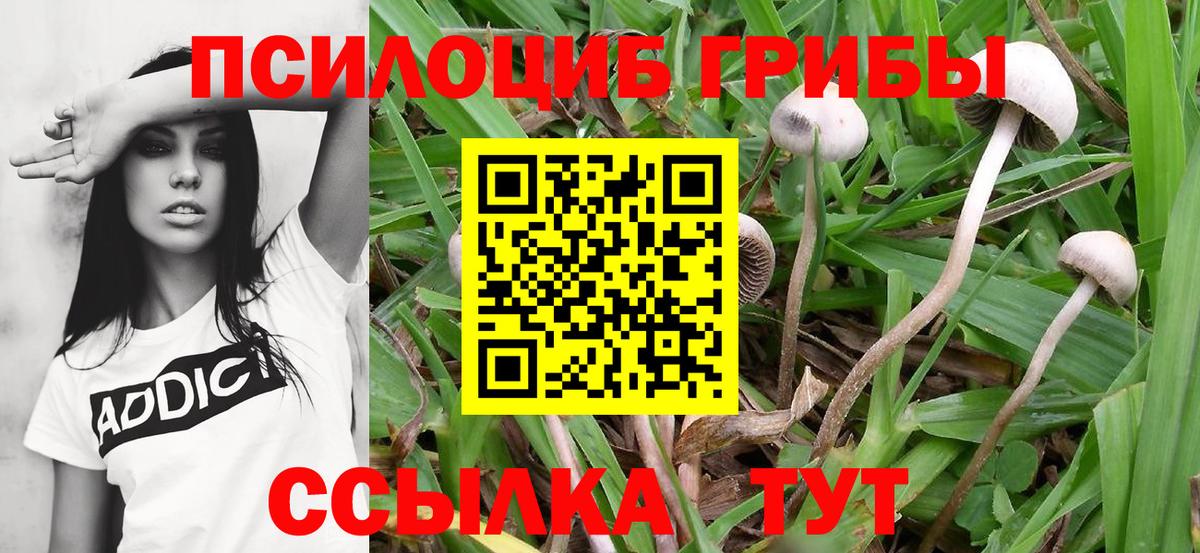 Галлюциногенные грибы GOLDEN TEACHER Улан-Удэ